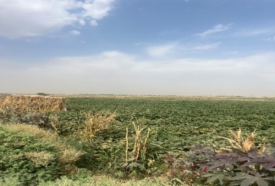 فروش زمین کشاورزی تهران ۲۳۰۰۰ متر پیشوا روستای معین آباد