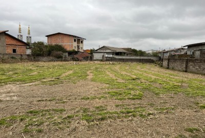 فروش زمین مسکونی کشاورزی شمال ۱۰۰۰ متر فریدون کنار روستای بیشه محله