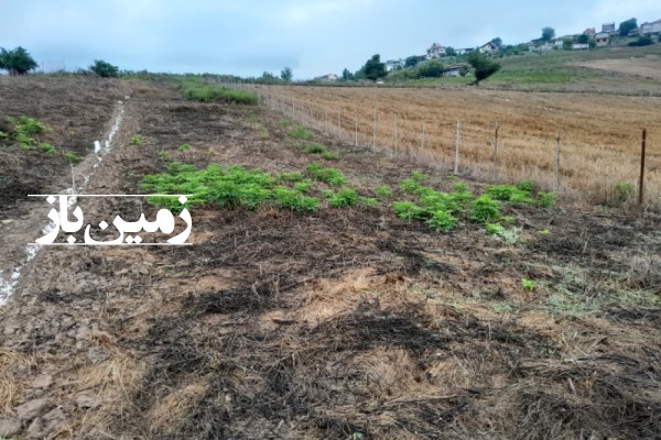 فروش زمین باغی شمال ۳۷۸ متر ساری روستای لارما-2