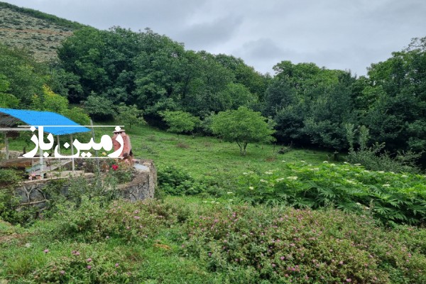 فروش زمین شمال ۱۲۹۲ متر نوشهر روستای کندلوس-1