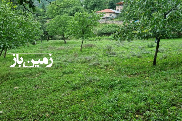 فروش زمین شمال ۱۲۹۲ متر نوشهر روستای کندلوس-2