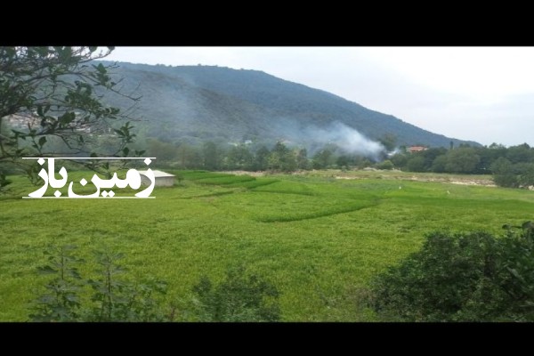 فروش باغ شمال با ۲۰۰۰ متر زمین چالوس روستای زوات-2