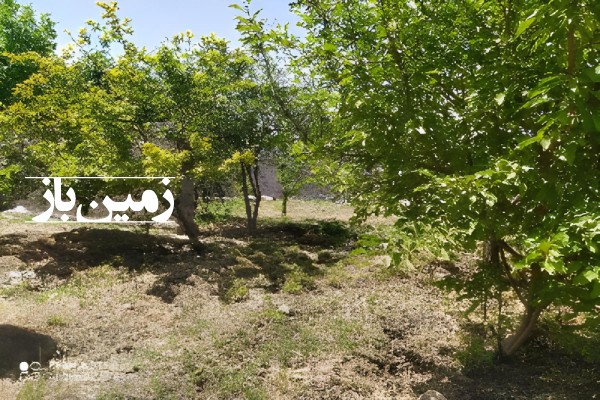 فروش باغ با ۱۱۱۸ متر زمین البرز کردان روستای چندار-3