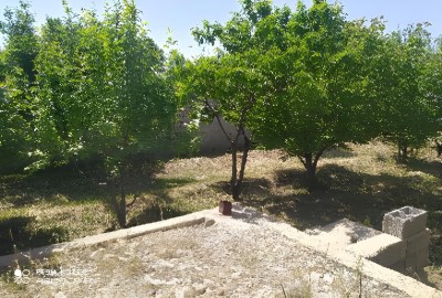 فروش باغ با ۱۱۱۸ متر زمین البرز کردان روستای چندار