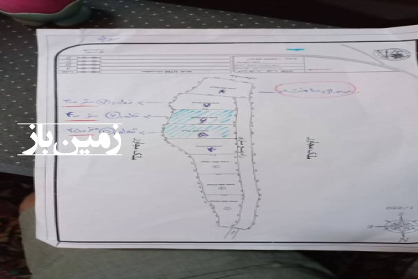 فروش زمین باغ شمال ۵۰۰ متر چالوس امامرود میانده-2