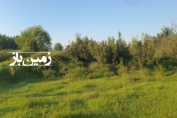 فروش زمین گیلان ۸۰۰۰ متر آستارا ویرمونی ابتدای جاده روستای هودول-2