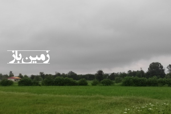 فروش زمین کشاورزی گیلان ۴۱۵۰ متر سنگر روستای قاضیان-2