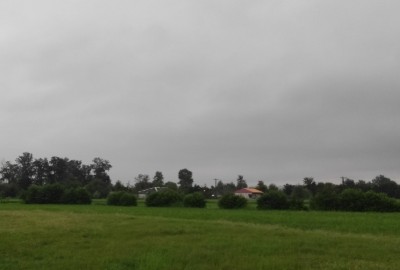 فروش زمین کشاورزی گیلان ۴۱۵۰ متر سنگر روستای قاضیان