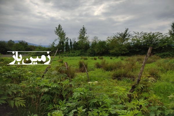 فروش زمین گیلان ۳۱۰ متر شفت روستای خرفکل-1