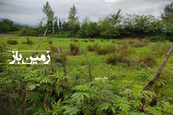 فروش زمین گیلان ۳۱۰ متر شفت روستای خرفکل-2