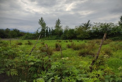 فروش زمین گیلان ۳۱۰ متر شفت روستای خرفکل