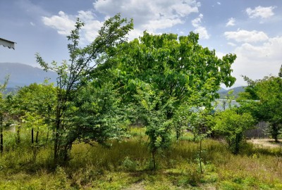 فروش زمین مسکونی گیلان رودبار رستم آباد شمالی روستای دیزکوه