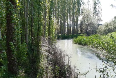 فروش زمین لرستان ۸۰۰ متر بروجرد روستای بندیزه