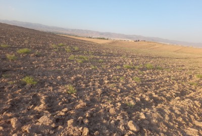 فروش زمین کشاورزی زنجان یک هکتار روستای رازبین شهرک صنعتی نوآوران