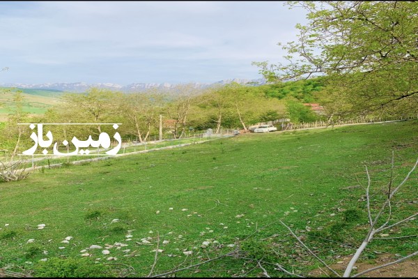 فروش زمین مسکونی ۱۰۷۷ متر ساری روستای سنگده-2