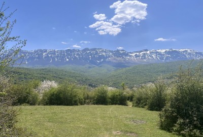 فروش زمین مسکونی ۱۰۷۷ متر ساری روستای سنگده