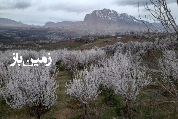 فروش باغ با ۱۵۷۰ متر زمین چهارمحال بختیاری شهرکرد-2