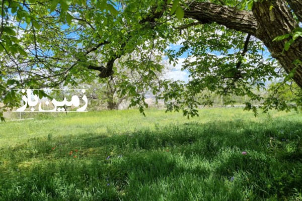 فروش زمین کشاورزی مرکزی ۱۲۰۰ متر تفرش طراران (دهکده پزشکان)-1