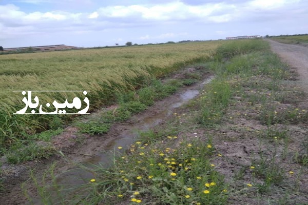 فروش زمین کشاورزی شمال ۱۶۶۰ متر ساری جاده گوهرباران روستای عزت الدین-2