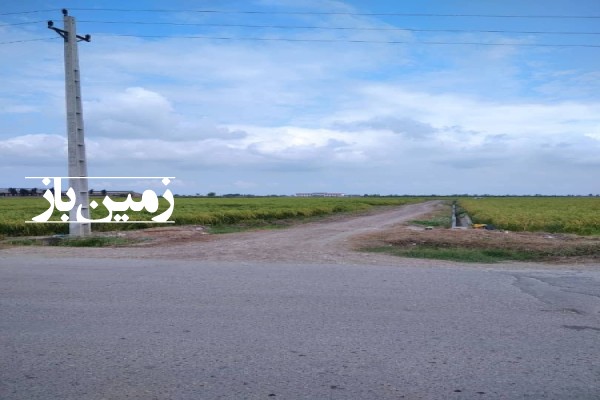 فروش زمین کشاورزی شمال ۱۶۶۰ متر ساری جاده گوهرباران روستای عزت الدین-3