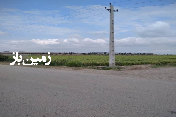 فروش زمین کشاورزی شمال ۱۶۶۰ متر ساری جاده گوهرباران روستای عزت الدین-4