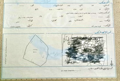 فروش زمین شمال ۵۷۰ متر عباس آباد کرکاس شادی ۱۳ شهرک نشاط