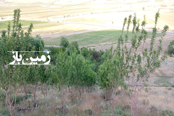 فروش باغ اصفهان با ۷۰۰۰ متر زمین چادگان روستای چهل چشمه-1