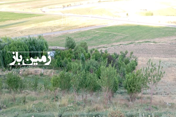 فروش باغ اصفهان با ۷۰۰۰ متر زمین چادگان روستای چهل چشمه-2