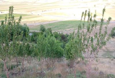 فروش باغ اصفهان با ۷۰۰۰ متر زمین چادگان روستای چهل چشمه