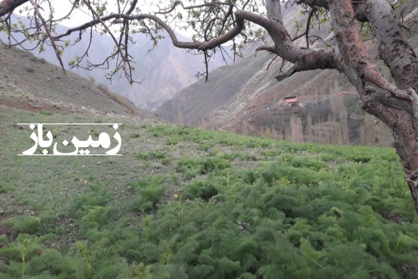 فروش زمین باغی تهران ۱۵۳۷ متر شمیرانات رودبار قصران روستای لالان-1