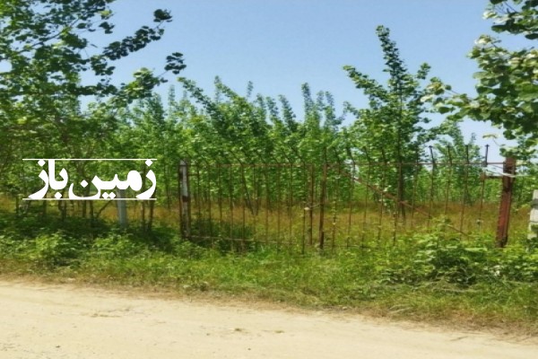 فروش زمین باغی کشاورزی گیلان ۲۰۰۰ متر صومعه سرا روستای چمثقال-1