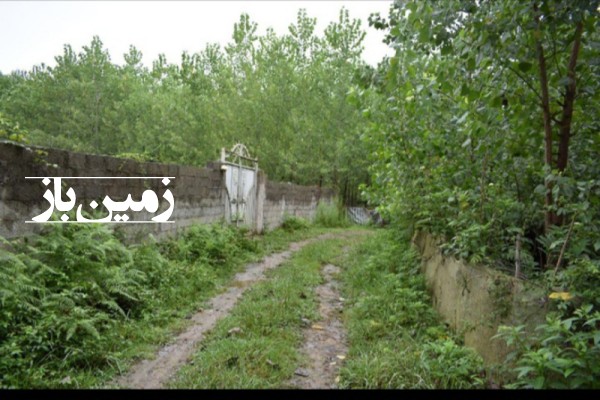 فروش زمین گیلان ۲۵۰ متر صومعه سرا نزدیک ماسال شهرک اباتر روستای کوده-3