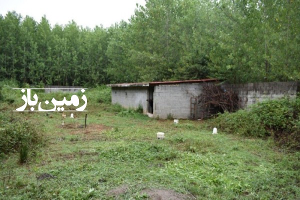 فروش زمین گیلان ۲۵۰ متر صومعه سرا نزدیک ماسال شهرک اباتر روستای کوده-4