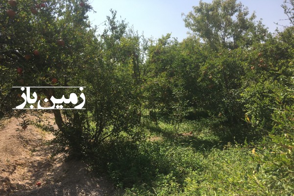 فروش زمین کشاورزی مسکونی یزد ۳۹ هزار متر تفت دهشیر روستای اکبرآباد-3