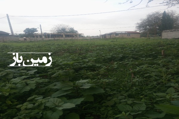 فروش زمین مسکونی گیلان ۷۵۰ متر پره سر روستای دیناچال-3