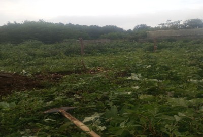 فروش زمین مسکونی گیلان ۷۵۰ متر پره سر روستای دیناچال