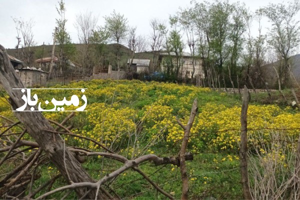 فروش زمین مسکونی گیلان ۷۰۰ متر رستم آباد روستای دفراز-1