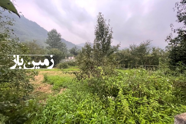 فروش زمین شمال ۳۴۰ متر سوادکوه زیراب روستای جوارم-4