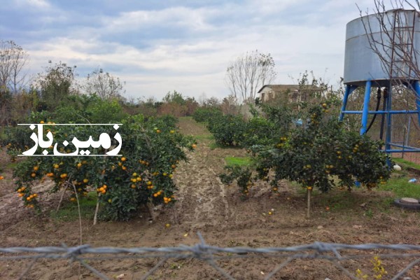 فروش زمین کشاورزی گلستان ۱۰۰۰ متر بندرگز روستای لیوان غربی-3