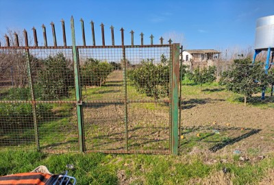 فروش زمین کشاورزی گلستان ۱۰۰۰ متر بندرگز روستای لیوان غربی