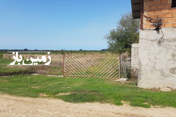 فروش زمینی کشاورزی باغی شمال ۵۰۰۰ متر نکا روستای نوذرآباد-1