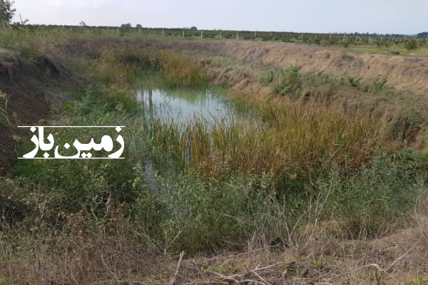 فروش زمینی کشاورزی باغی شمال ۵۰۰۰ متر نکا روستای نوذرآباد-2