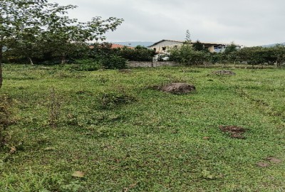فروش زمین مسکونی شمال ۵۳۵ متر تنکابن جاده سه هزار روستای لیره سر