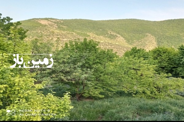 فروش زمین باغی شمال ۵۰۰ متر چالوس کجور روستای ناصرآباد-1