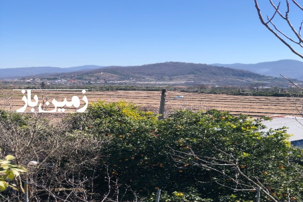 فروش زمین مسکونی شمال ۸۰۰ متر شیرگاه روستای نواباد با پروانه ساخت-3