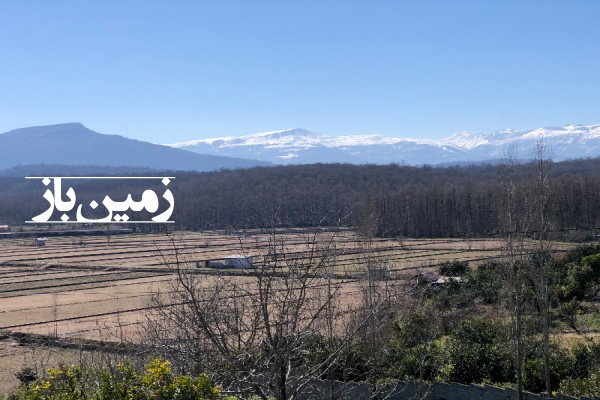 فروش زمین مسکونی شمال ۸۰۰ متر شیرگاه روستای نواباد با پروانه ساخت-4