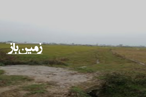 فروش زمین کشاورزی شمال ۵۰۰ متر ساری روستای میانرود-2