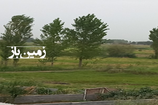 فروش زمین کشاورزی شمال ۵۰۰ متر ساری روستای میانرود-3