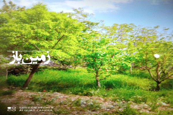 فروش زمین مسکونی کهکیلویه و بویراحمد ۵۰۰ متر یاسوج روستای گنجه کهنه-2