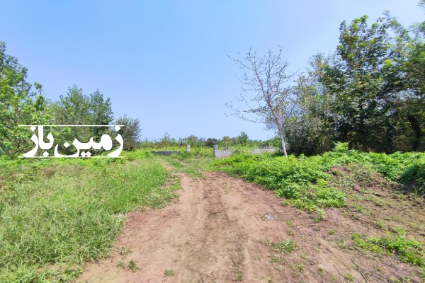 فروش زمین باغی گیلان ۶۹۷ متر رودسر روستای صحنه سرا-3